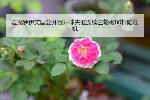 麦克罗伊美国公开赛开球失准连续三轮破80杆陷危机
