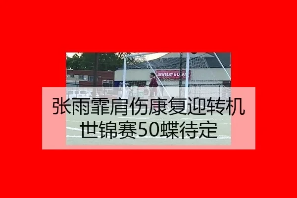张雨霏肩伤康复迎转机 世锦赛50蝶待定