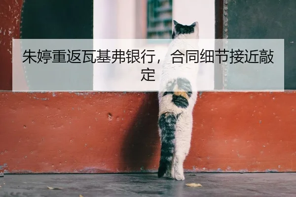 朱婷重返瓦基弗银行，合同细节接近敲定